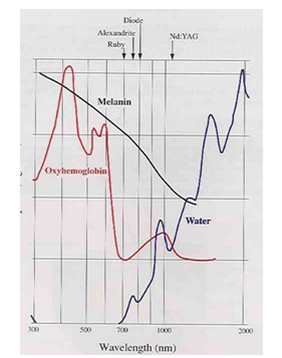 Il cromoforo melanina e l'assrbimento della luce del laser diodo